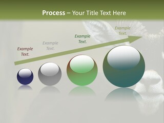 A Goat Standing Next To A Tree In A Field PowerPoint Template