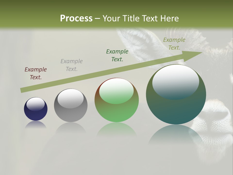 A Goat Standing Next To A Tree In A Field PowerPoint Template