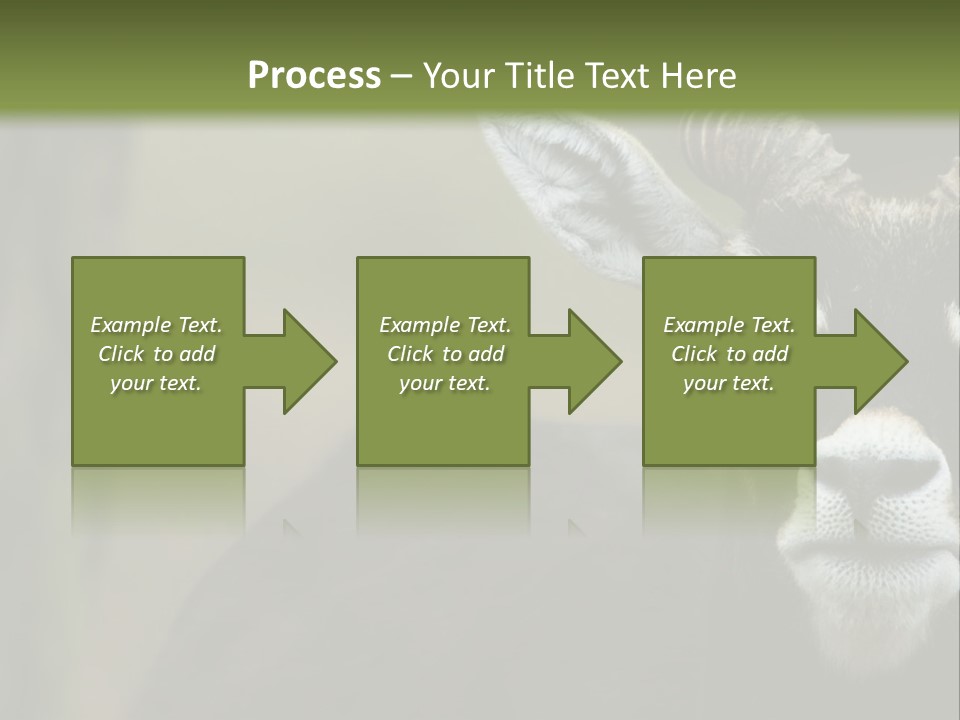 A Goat Standing Next To A Tree In A Field PowerPoint Template