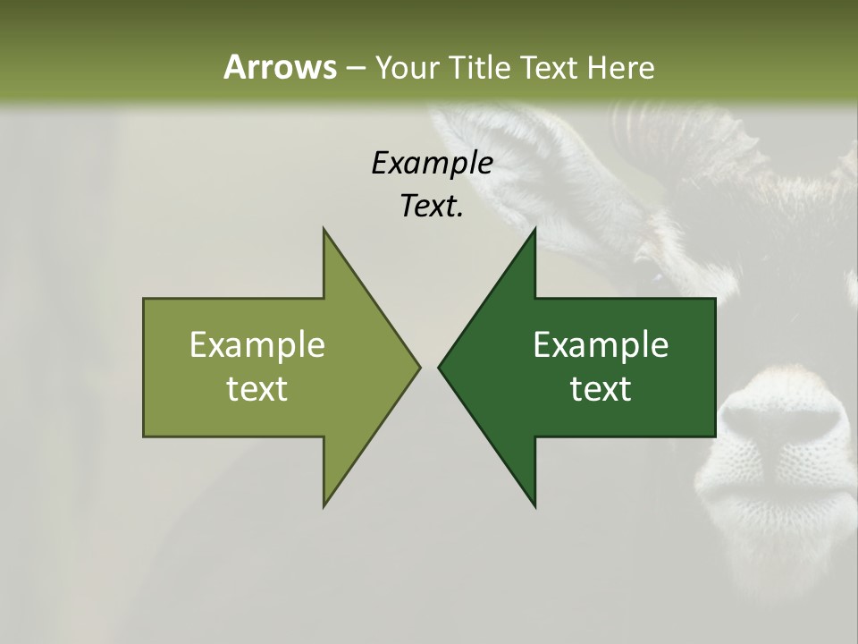 A Goat Standing Next To A Tree In A Field PowerPoint Template