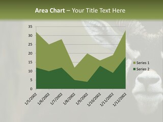 A Goat Standing Next To A Tree In A Field PowerPoint Template