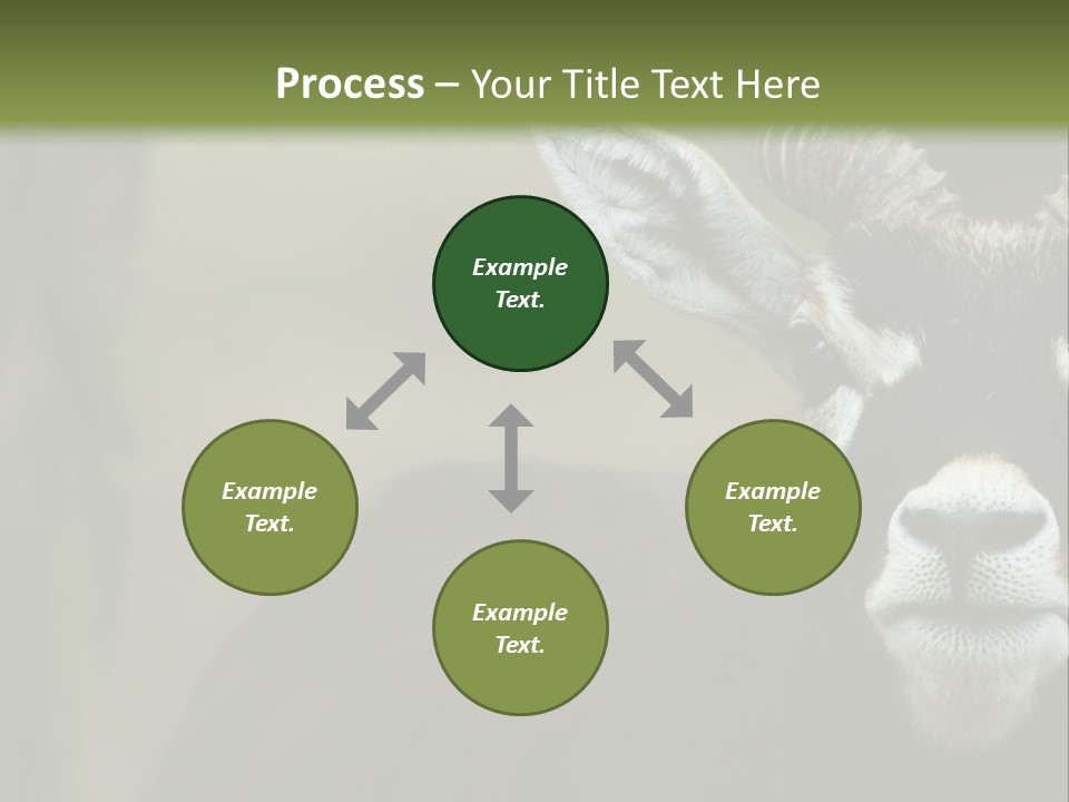 A Goat Standing Next To A Tree In A Field PowerPoint Template