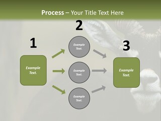 A Goat Standing Next To A Tree In A Field PowerPoint Template