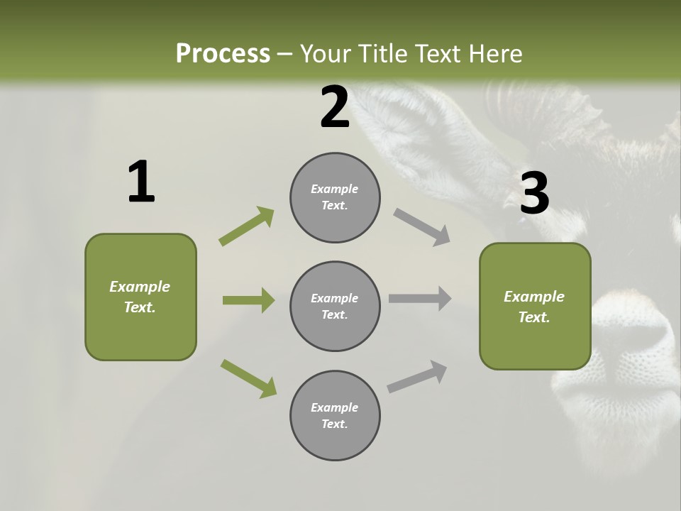 A Goat Standing Next To A Tree In A Field PowerPoint Template