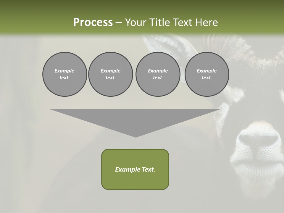 A Goat Standing Next To A Tree In A Field PowerPoint Template