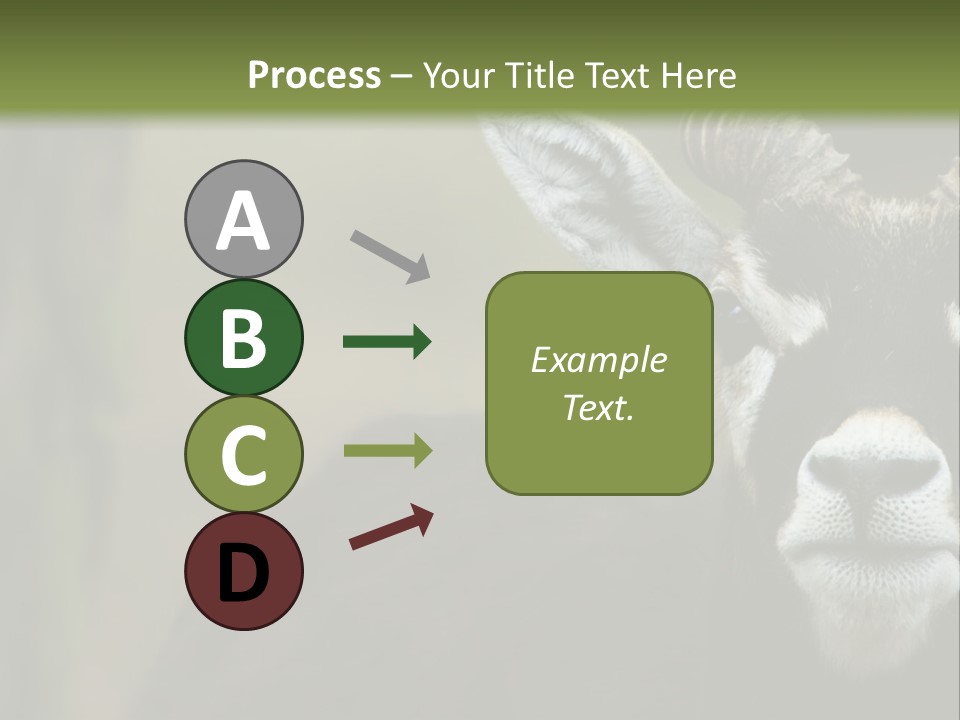 A Goat Standing Next To A Tree In A Field PowerPoint Template