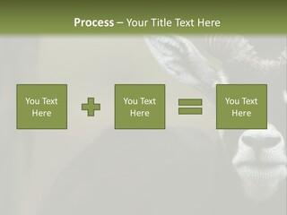 A Goat Standing Next To A Tree In A Field PowerPoint Template