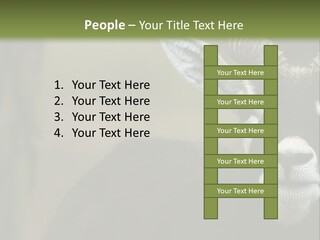 A Goat Standing Next To A Tree In A Field PowerPoint Template