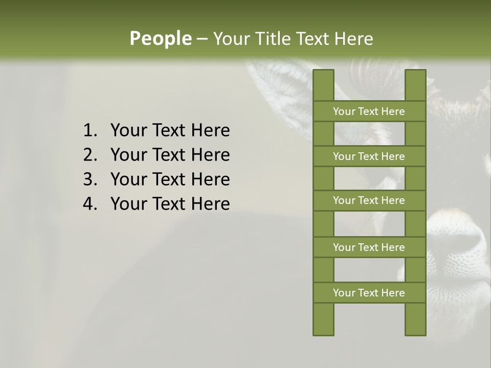 A Goat Standing Next To A Tree In A Field PowerPoint Template