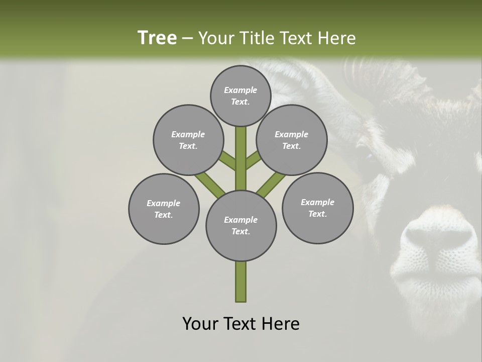 A Goat Standing Next To A Tree In A Field PowerPoint Template
