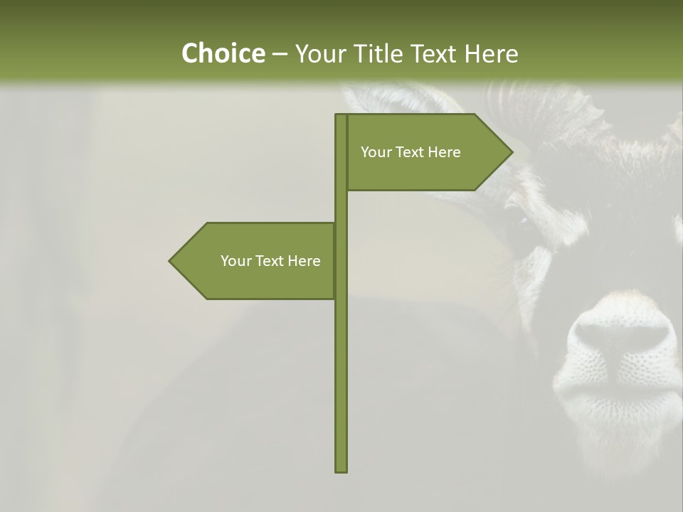 A Goat Standing Next To A Tree In A Field PowerPoint Template