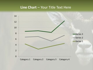 A Goat Standing Next To A Tree In A Field PowerPoint Template