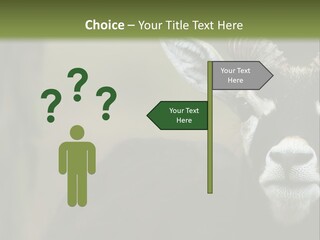 A Goat Standing Next To A Tree In A Field PowerPoint Template