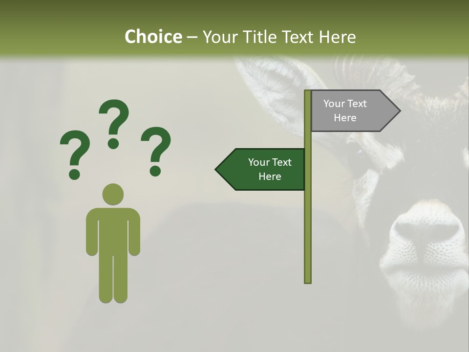 A Goat Standing Next To A Tree In A Field PowerPoint Template