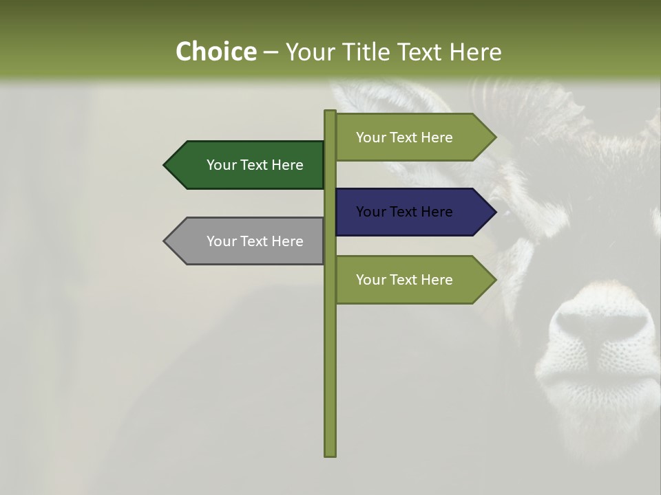 A Goat Standing Next To A Tree In A Field PowerPoint Template