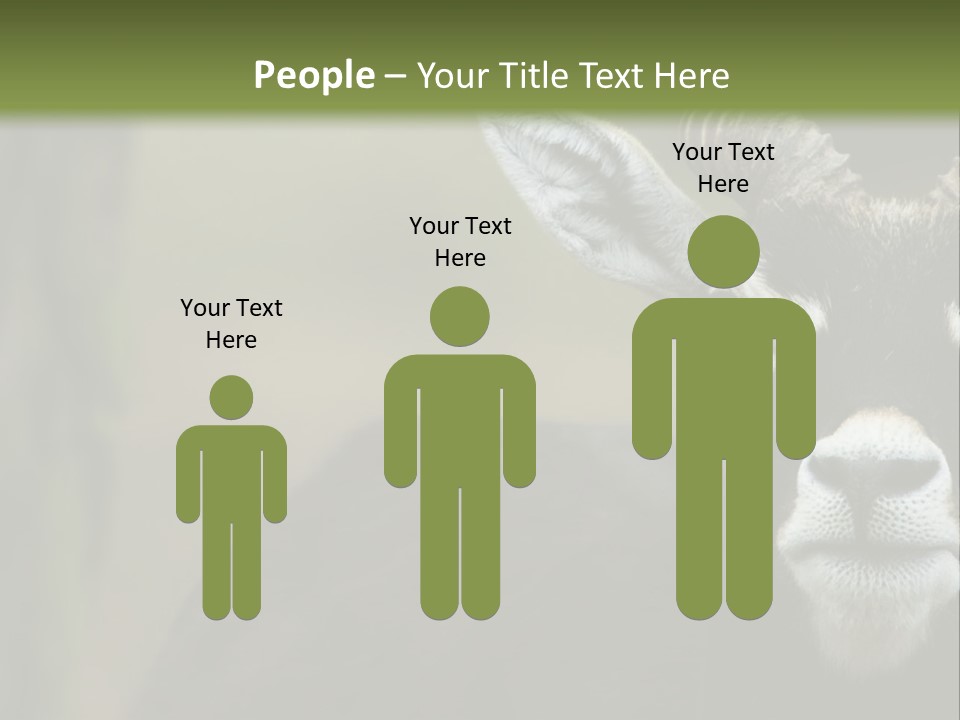 A Goat Standing Next To A Tree In A Field PowerPoint Template