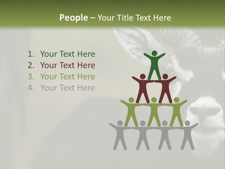 A Goat Standing Next To A Tree In A Field PowerPoint Template