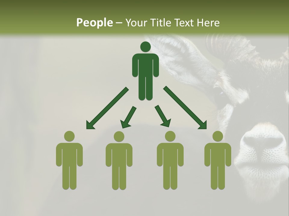 A Goat Standing Next To A Tree In A Field PowerPoint Template
