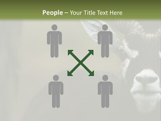 A Goat Standing Next To A Tree In A Field PowerPoint Template