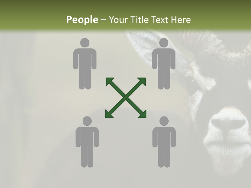 A Goat Standing Next To A Tree In A Field PowerPoint Template