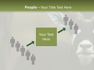 A Goat Standing Next To A Tree In A Field PowerPoint Template