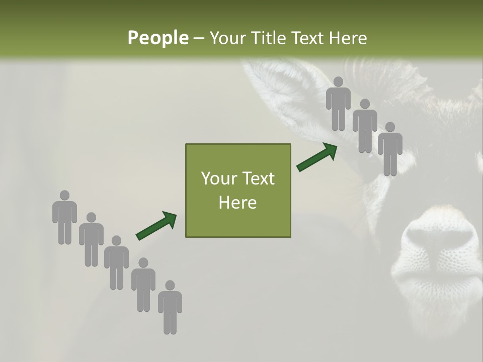 A Goat Standing Next To A Tree In A Field PowerPoint Template