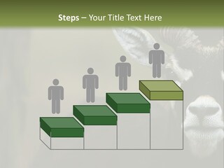 A Goat Standing Next To A Tree In A Field PowerPoint Template