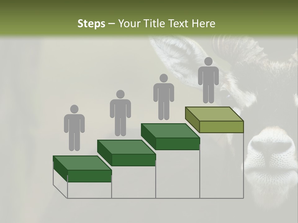 A Goat Standing Next To A Tree In A Field PowerPoint Template