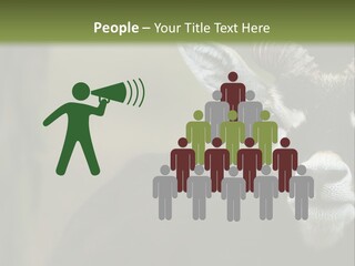 A Goat Standing Next To A Tree In A Field PowerPoint Template