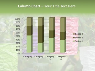 A Group Of Colorful Paper Wrapped In Pink, Purple, And Green PowerPoint Template