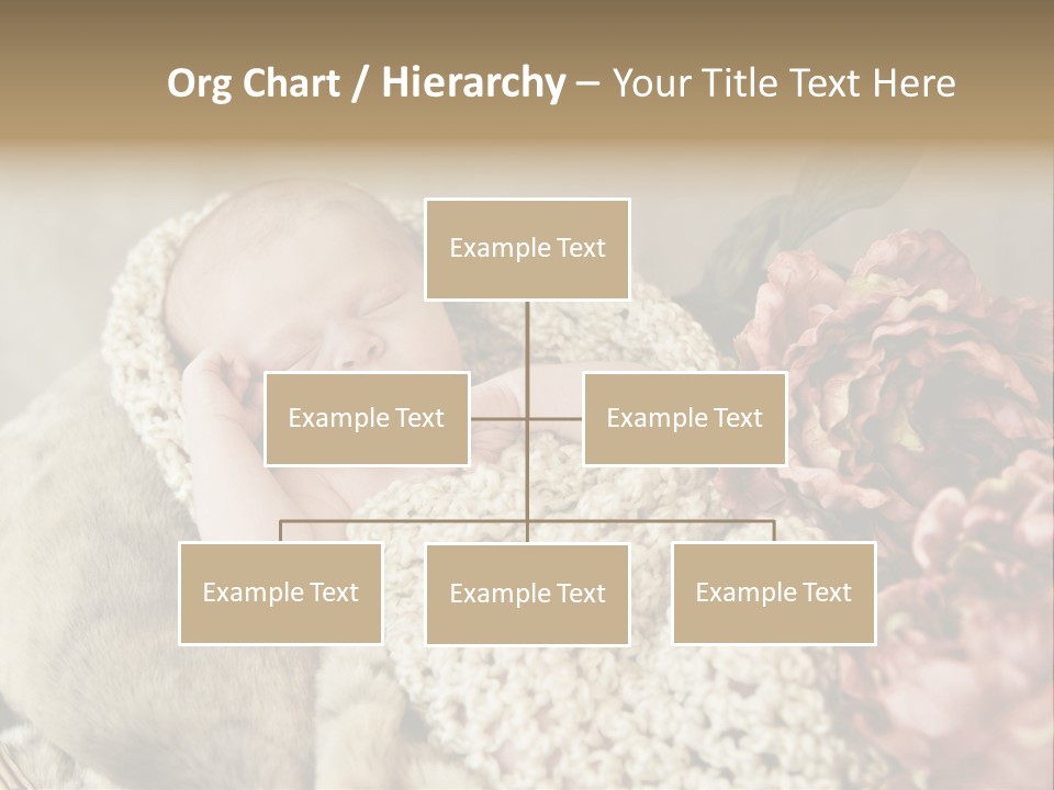 A Baby Is Sleeping On A Blanket With Flowers PowerPoint Template