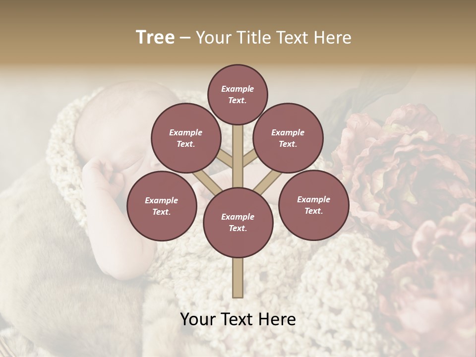 A Baby Is Sleeping On A Blanket With Flowers PowerPoint Template