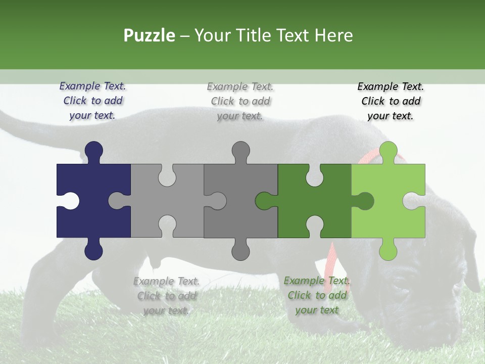 A Black Dog With A Red Collar Is Sniffing The Grass PowerPoint Template