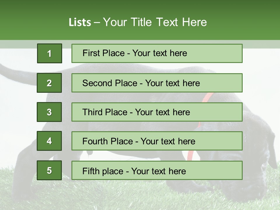 A Black Dog With A Red Collar Is Sniffing The Grass PowerPoint Template