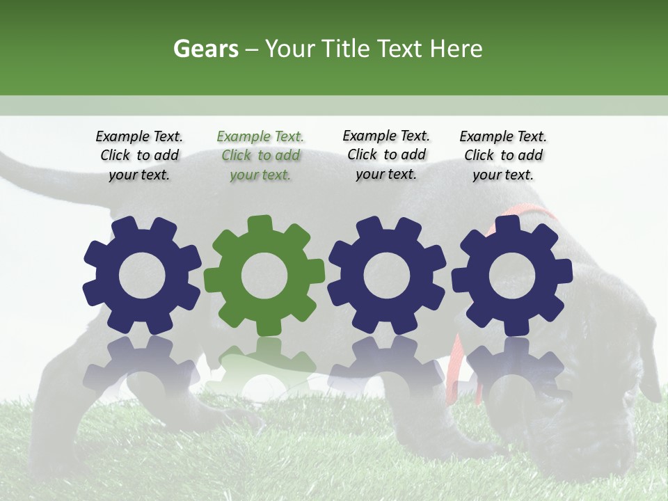 A Black Dog With A Red Collar Is Sniffing The Grass PowerPoint Template