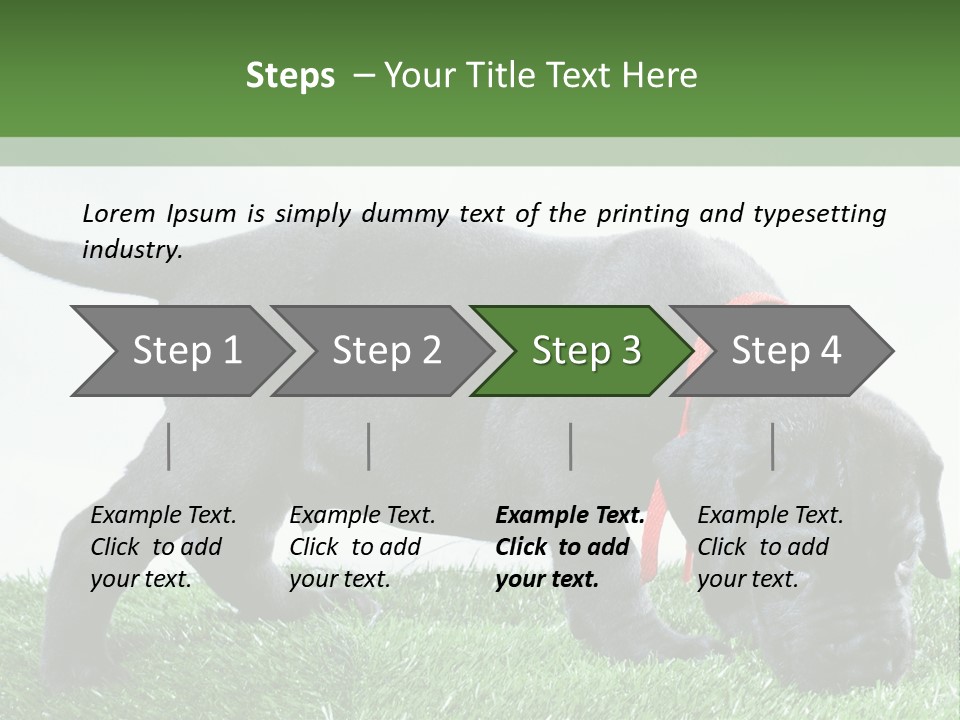 A Black Dog With A Red Collar Is Sniffing The Grass PowerPoint Template