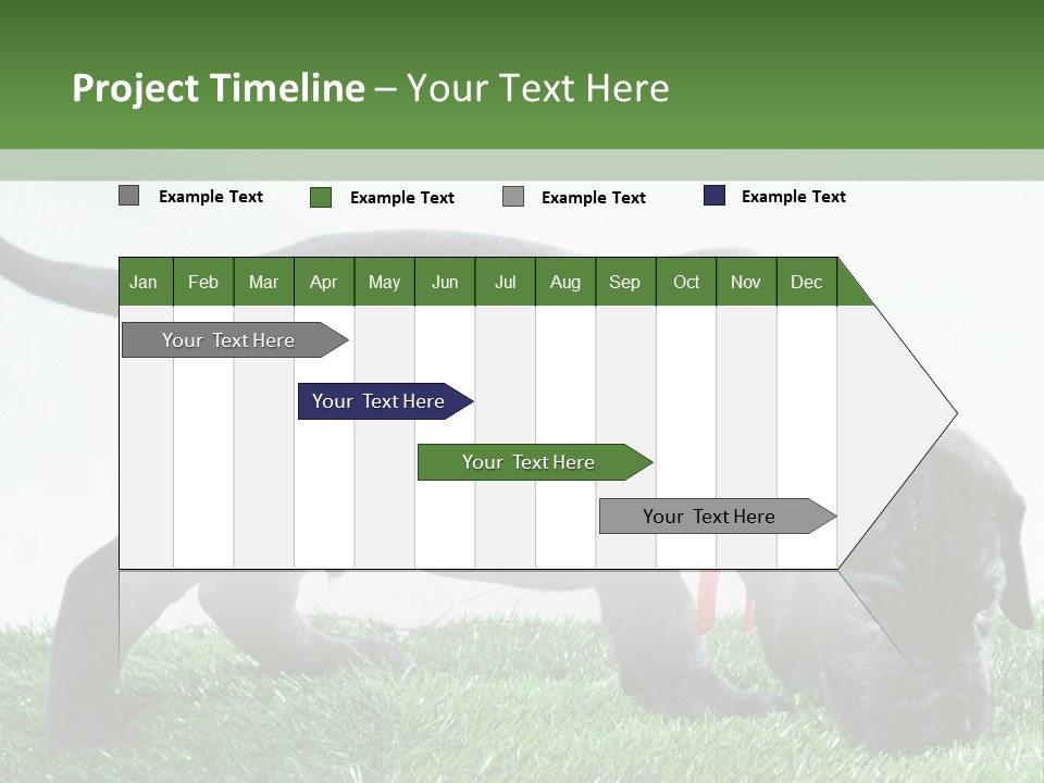 A Black Dog With A Red Collar Is Sniffing The Grass PowerPoint Template