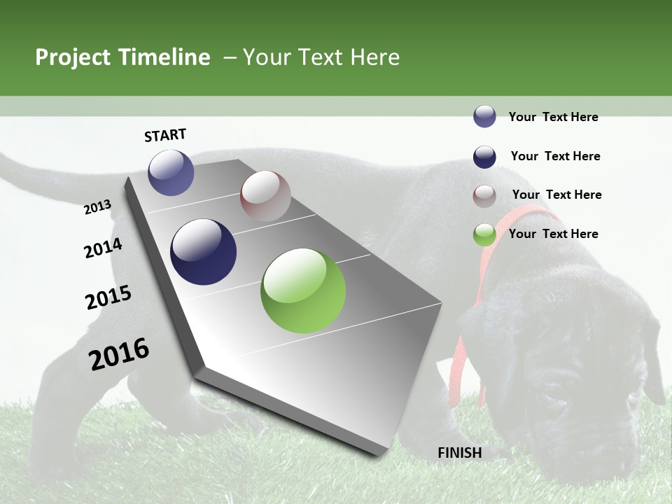 A Black Dog With A Red Collar Is Sniffing The Grass PowerPoint Template