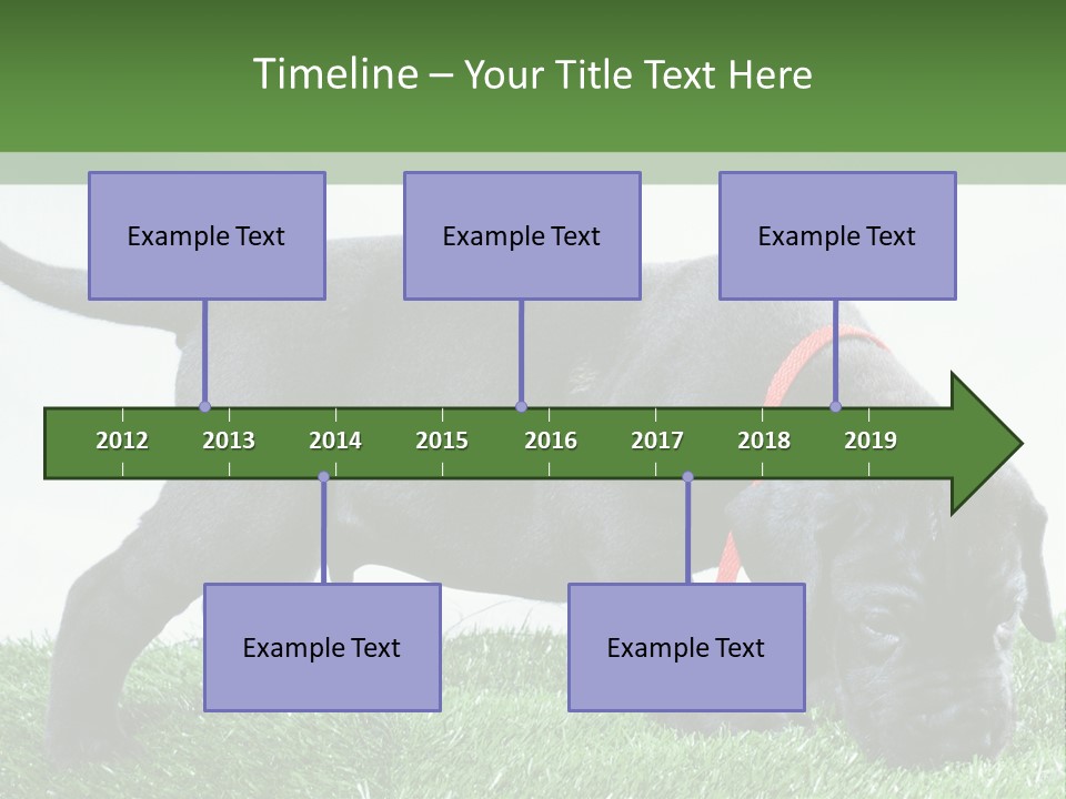 A Black Dog With A Red Collar Is Sniffing The Grass PowerPoint Template