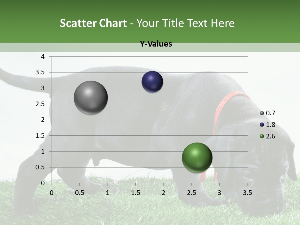 A Black Dog With A Red Collar Is Sniffing The Grass PowerPoint Template