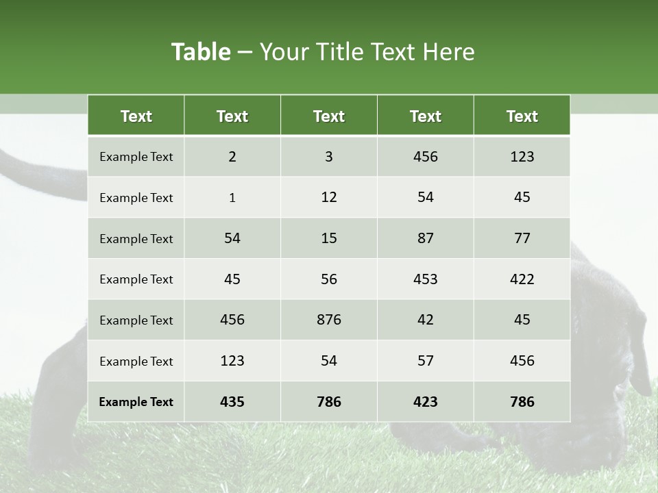 A Black Dog With A Red Collar Is Sniffing The Grass PowerPoint Template