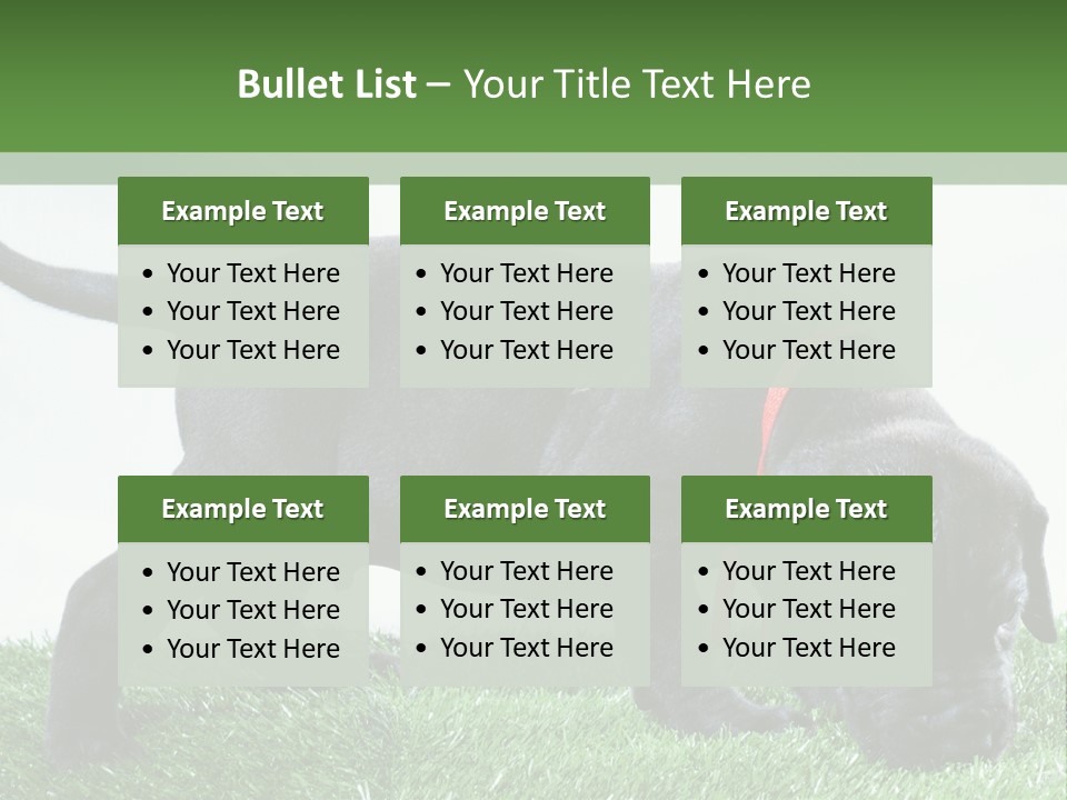 A Black Dog With A Red Collar Is Sniffing The Grass PowerPoint Template