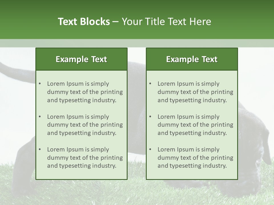 A Black Dog With A Red Collar Is Sniffing The Grass PowerPoint Template