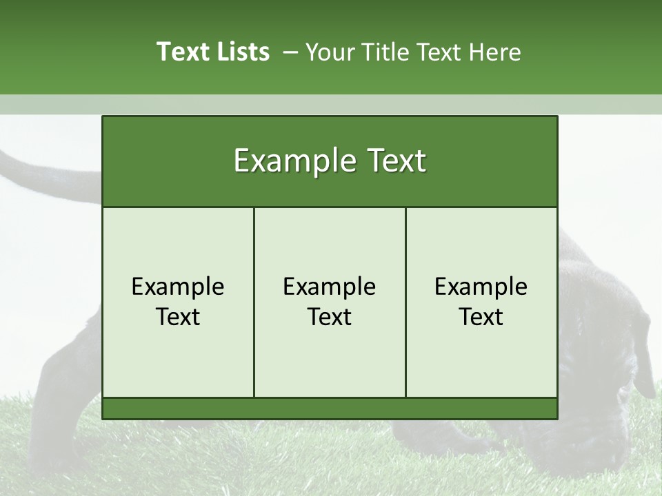 A Black Dog With A Red Collar Is Sniffing The Grass PowerPoint Template