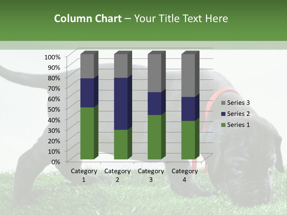 A Black Dog With A Red Collar Is Sniffing The Grass PowerPoint Template