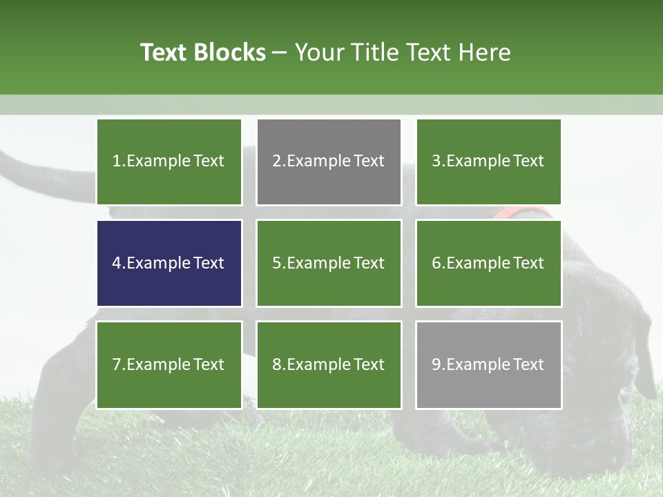 A Black Dog With A Red Collar Is Sniffing The Grass PowerPoint Template