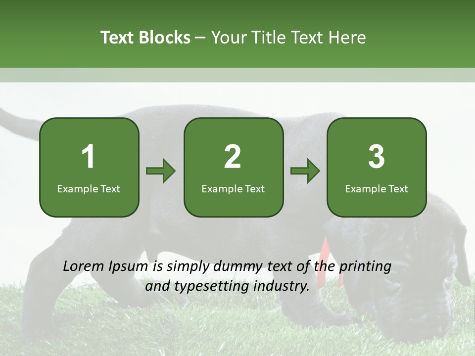 A Black Dog With A Red Collar Is Sniffing The Grass PowerPoint Template