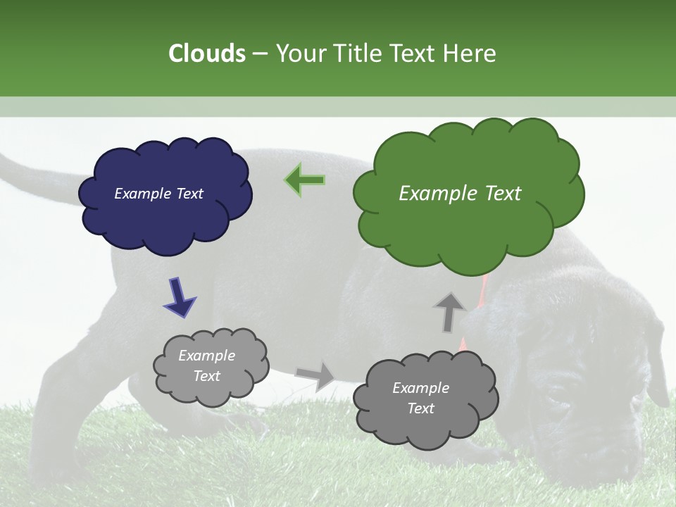 A Black Dog With A Red Collar Is Sniffing The Grass PowerPoint Template