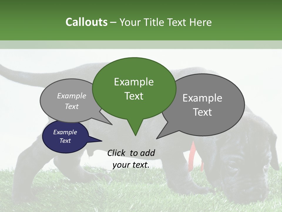 A Black Dog With A Red Collar Is Sniffing The Grass PowerPoint Template