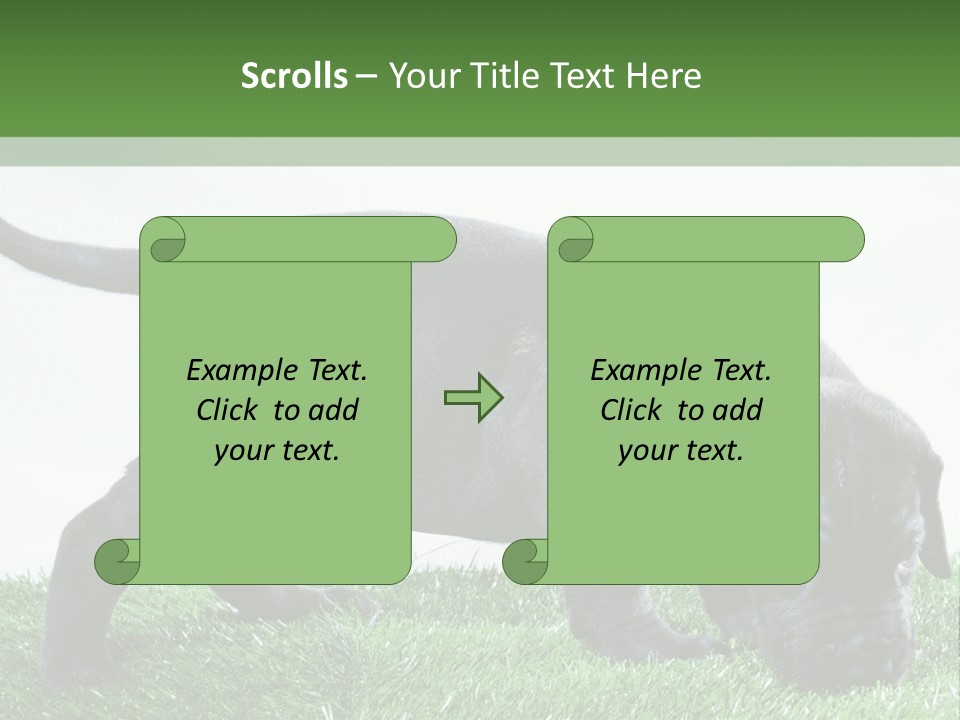 A Black Dog With A Red Collar Is Sniffing The Grass PowerPoint Template